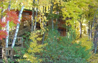 Thompsons Cabin