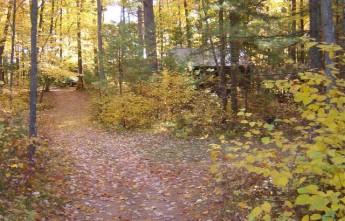 Nature Trails in Northern WI