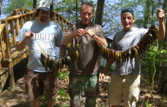 Fishing Up North at Thompson's Lakeside Cabins