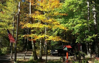 Thompson's Lakeside Cabin Rentals