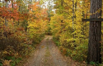 Cabin Rentals in WI