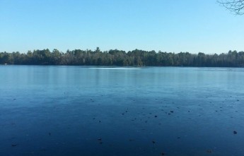 Horse Head Lake WI